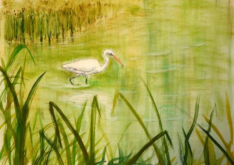 Silberreiher - Frank Finny - Array auf Array - Array - Array Silberreiher - Frank Finny - Array auf Array - Array - Array