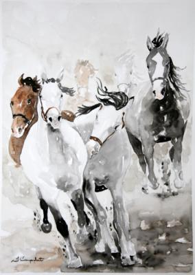 Das Rennen - Sadettin Canpolat - Array auf Array - Array - Array Das Rennen - Sadettin Canpolat - Array auf Array - Array - Array