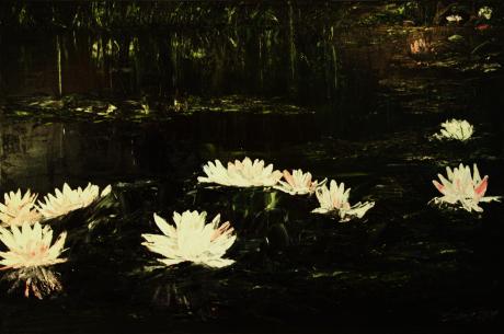 Seerosen! - Sabine Mentzel - Array auf Array - Array - Array Seerosen! - Sabine Mentzel - Array auf Array - Array - Array