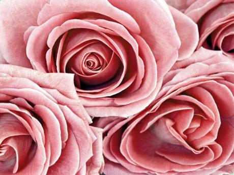 Naturmalerei - Annett Tropschug - Array auf - Array - Naturmalerei - Annett Tropschug - Array auf - Array -