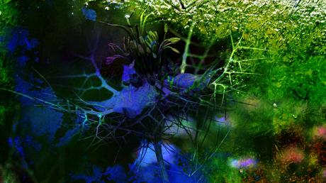 --- - barbara banthau - Array auf - Array - Array --- - barbara banthau - Array auf - Array - Array