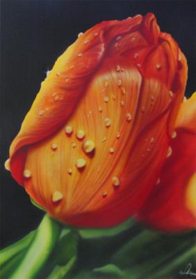 Frühlings erwachen - André Kluge -ART - Array auf Array - Array - Array Frühlings erwachen - André Kluge -ART - Array auf Array - Array - Array