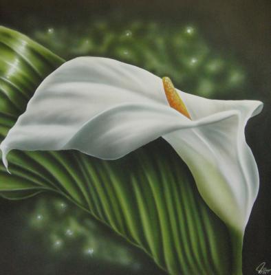 Schönheit der Nacht - André Kluge -ART - Array auf Array - Array - Array Schönheit der Nacht - André Kluge -ART - Array auf Array - Array - Array