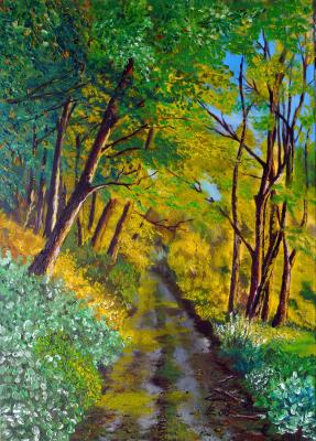 Odenwald - Frank Finny - Array auf Array - Array - Array Odenwald - Frank Finny - Array auf Array - Array - Array