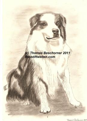 Oskar Plattpfote - Thomas Beschorner - Array auf Array - - Oskar Plattpfote - Thomas Beschorner - Array auf Array - -