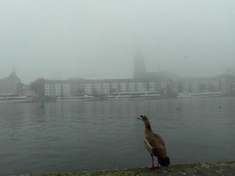 Sehnsucht - Mark Hallstein - Array auf - Array - Sehnsucht - Mark Hallstein - Array auf - Array -