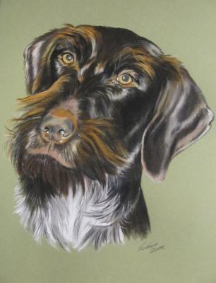 Jagdhund, Portrait in Pastell - Gaby Lukas - Array auf Array - Array - Jagdhund, Portrait in Pastell - Gaby Lukas - Array auf Array - Array -
