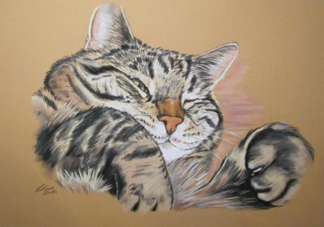 Katzen liegend in Pastell - Gaby Lukas - auf - - Katzen liegend in Pastell - Gaby Lukas - auf - -