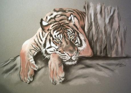 Tiger in Teilansicht, Pastell - Gaby Lukas - Array auf Array - Array - Tiger in Teilansicht, Pastell - Gaby Lukas - Array auf Array - Array -