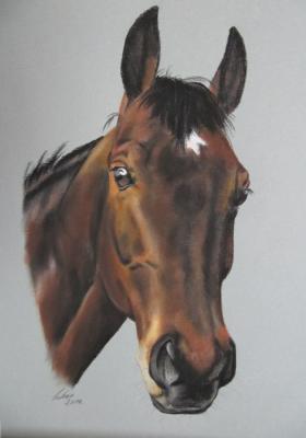 Pferdekopf in Pastell - Gaby Lukas - Array auf Array - Array - Pferdekopf in Pastell - Gaby Lukas - Array auf Array - Array -