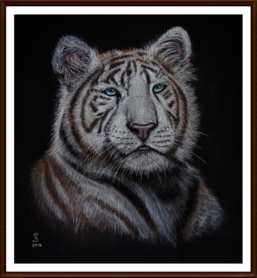 Weisser Tiger - Jacqueline Scheib - Array auf Array - Array - Array Weisser Tiger - Jacqueline Scheib - Array auf Array - Array - Array