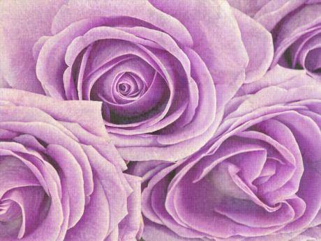 Naturmalerei - Annett Tropschug - Array auf - Array - Naturmalerei - Annett Tropschug - Array auf - Array -