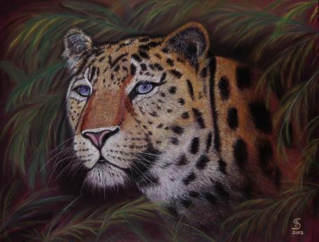 Dschungel Leopard - Jacqueline Scheib - Array auf Array - Array - Array Dschungel Leopard - Jacqueline Scheib - Array auf Array - Array - Array