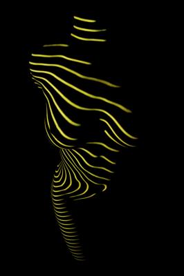 lines - Oliver Plath - auf - Array - lines - Oliver Plath - auf - Array -