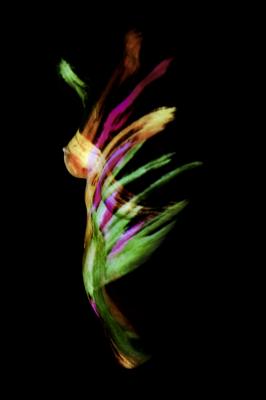 water color I - Oliver Plath -  auf  - Array - 