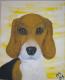 beagle ares - melanie schuster - Acryl-Ãl auf - Hunde - beagle ares - melanie schuster - Acryl-Ãl auf - Hunde -