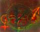 Ewige Magie - Heinrich Scheuerlein - Acryl auf Leinwand - Abstrakt - Expressionismus