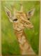 Giraffe Giraffe