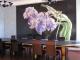 Orchidee Orchidee