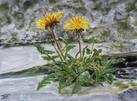 Butterblume - Karin Foellmer - Array auf Array - Array - Array Butterblume - Karin Foellmer - Array auf Array - Array - Array