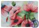 Mohn Mohn