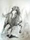 wilder Galopp - Ursula Thuleweit Laranjeiro - Aquarell auf Papier - Pferde - Fotorealismus wilder Galopp - Ursula Thuleweit Laranjeiro - Aquarell auf Papier - Pferde - Fotorealismus