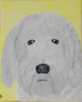 hund - melanie schuster - auf - Array - hund - melanie schuster - auf - Array -