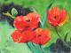 Klatschmohn 1 - Egon Rathke - Aquarell auf - Mohn - Klatschmohn 1 - Egon Rathke - Aquarell auf - Mohn -