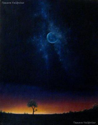 Looking up to the Moon - Tamara Valdovino - Array auf Array - Array - Array Looking up to the Moon - Tamara Valdovino - Array auf Array - Array - Array