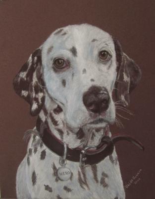 Dalmatiner - Heide Krause - Array auf Array - Array - Array Dalmatiner - Heide Krause - Array auf Array - Array - Array