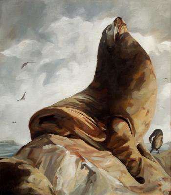 sea lion - Daniel Wimmer - Array auf Array - Array - Array sea lion - Daniel Wimmer - Array auf Array - Array - Array