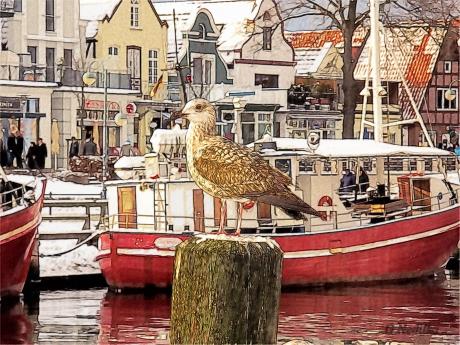 Hafenmeile - Gabriele Nedilka - Array auf - Array - Hafenmeile - Gabriele Nedilka - Array auf - Array -