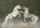 kämpfende Pferde - Ursula Thuleweit Laranjeiro - Pastell auf Karton - Pferde - Fotorealismus-Naturalismus kämpfende Pferde - Ursula Thuleweit Laranjeiro - Pastell auf Karton - Pferde - Fotorealismus-Naturalismus