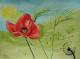 Mohn mit Ãhren - Egon Rathke - Aquarell auf - Mohn - Naturalismus-Realismus Mohn mit Ãhren - Egon Rathke - Aquarell auf - Mohn - Naturalismus-Realismus