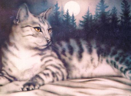 Katze im Schnee - Boo D - Array auf - Array - Katze im Schnee - Boo D - Array auf - Array -