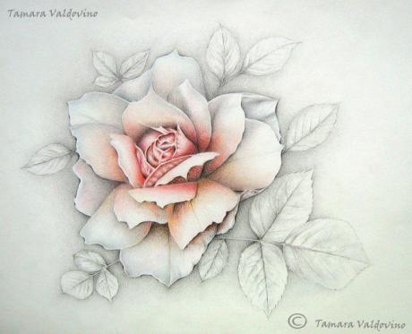 From the depths - Tamara Valdovino - Array auf - Array - From the depths - Tamara Valdovino - Array auf - Array -