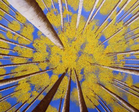 Birkenwald - Rolf Lieser - Array auf Array - Array - Array Birkenwald - Rolf Lieser - Array auf Array - Array - Array