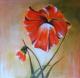 Mohnblume 1 - Monika Messerschmidt - Acryl auf Leinwand - Mohn-Sommer - Klassisch Mohnblume 1 - Monika Messerschmidt - Acryl auf Leinwand - Mohn-Sommer - Klassisch