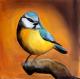 Vogel 2 Vogel 2