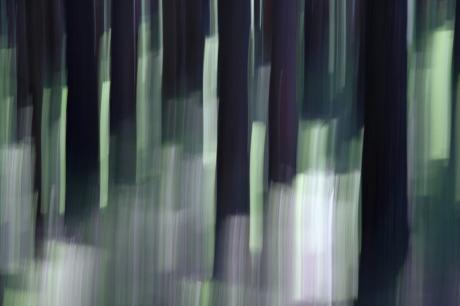 Nebulos - Walter J. Pilsak - auf - Array - Nebulos - Walter J. Pilsak - auf - Array -