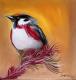 Vogel 3 Vogel 3
