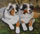 Joy und Sally Joy und Sally
