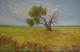 Der einsamer Baum - Max Braun - Ãl auf Leinwand - Wiese - Impressionismus-Realismus Der einsamer Baum - Max Braun - Ãl auf Leinwand - Wiese - Impressionismus-Realismus