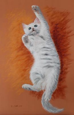 White cat - Renate Dohr - Array auf Array - Array - Array White cat - Renate Dohr - Array auf Array - Array - Array