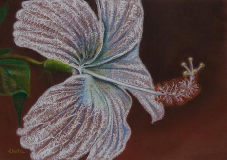 Lilie - Claudia Diaz - Array auf Array - Array - Array Lilie - Claudia Diaz - Array auf Array - Array - Array