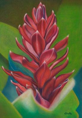 Exotische Blume 2 - Claudia Diaz - Array auf Array - Array - Array Exotische Blume 2 - Claudia Diaz - Array auf Array - Array - Array