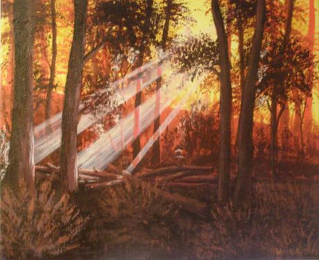Licht im Wald - Andreas Merk - Array auf Array - Array - Licht im Wald - Andreas Merk - Array auf Array - Array -