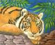 Tiger Tiger