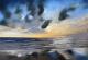 SEASCAPE SEASCAPE