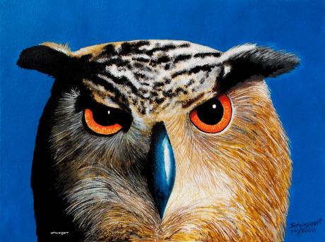 Eule - Norbert Schweigert - Array auf Array - Array - Array Eule - Norbert Schweigert - Array auf Array - Array - Array